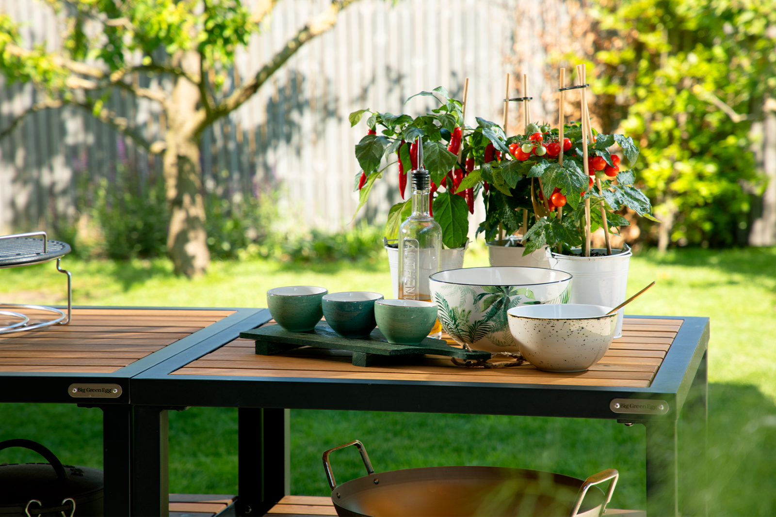 Big Green Egg Contact